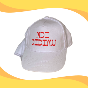 NDI VIDIMU